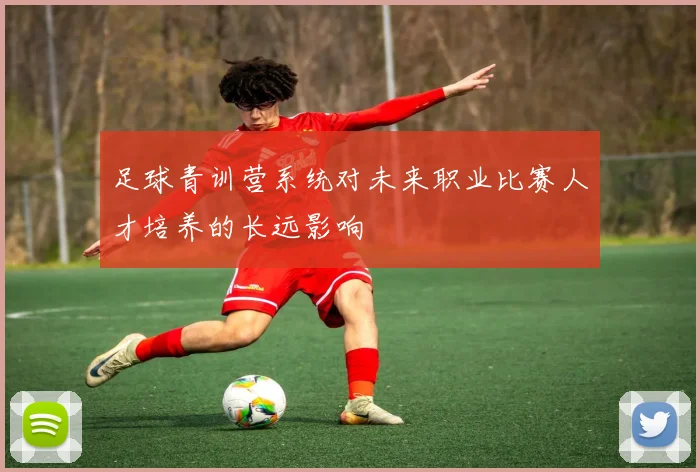 足球青训营系统对未来职业比赛人才培养的长远影响