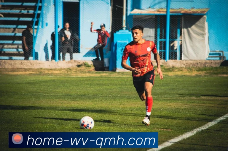 球盟会平台生态图